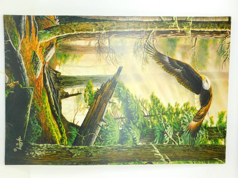 Canvas Print Of A Bald Eagle In Flight