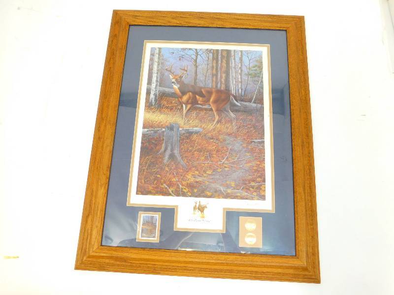 Framed & Matted Picture Of Woodland Prince  By Harry Autis
