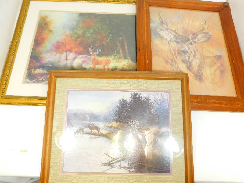 Three Framed Pictures Of Deer