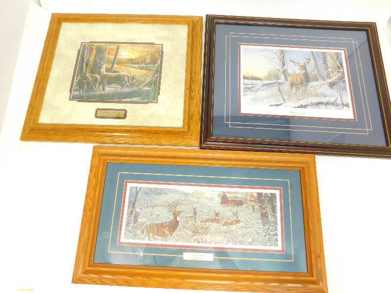 Three Framed & Matted Pictures Of Deer