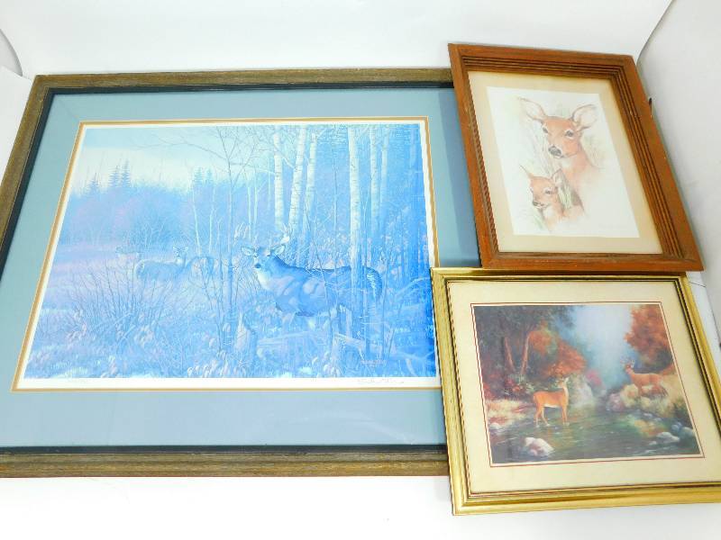 Three Framed & Matted Pictures Of Deer