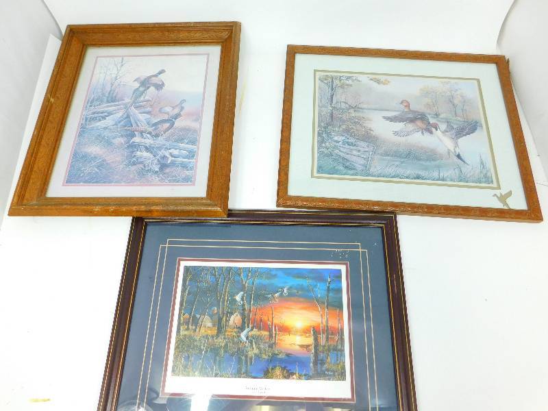 Three Framed & Matted Pictures Of Wild Fowl