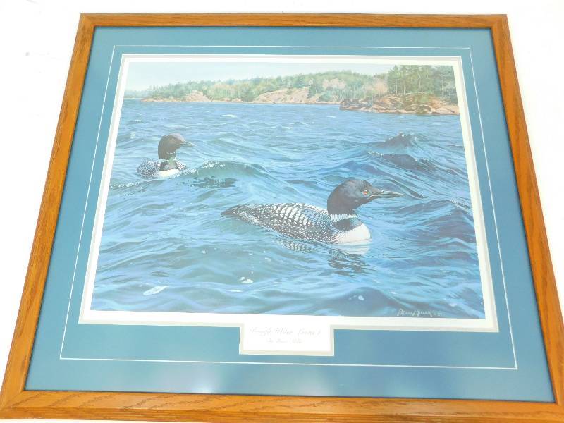 Framed & Matted Picture Of Rough Water Loon 1  By Bruce Miller