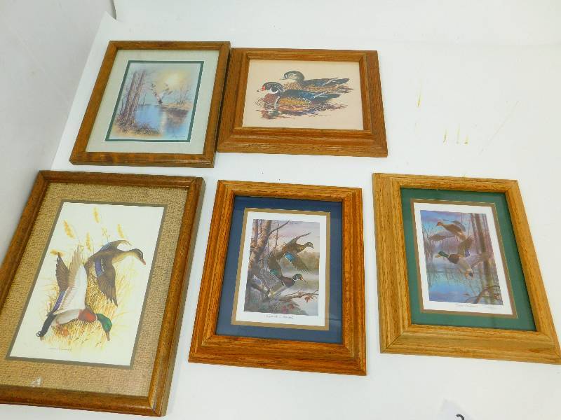 Five Matted & Framed Pictures