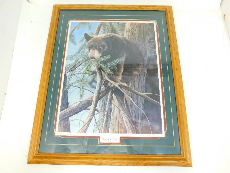 Framed & Matted Picture Of  Out On A Limb  By Kevin Daniel   - 81