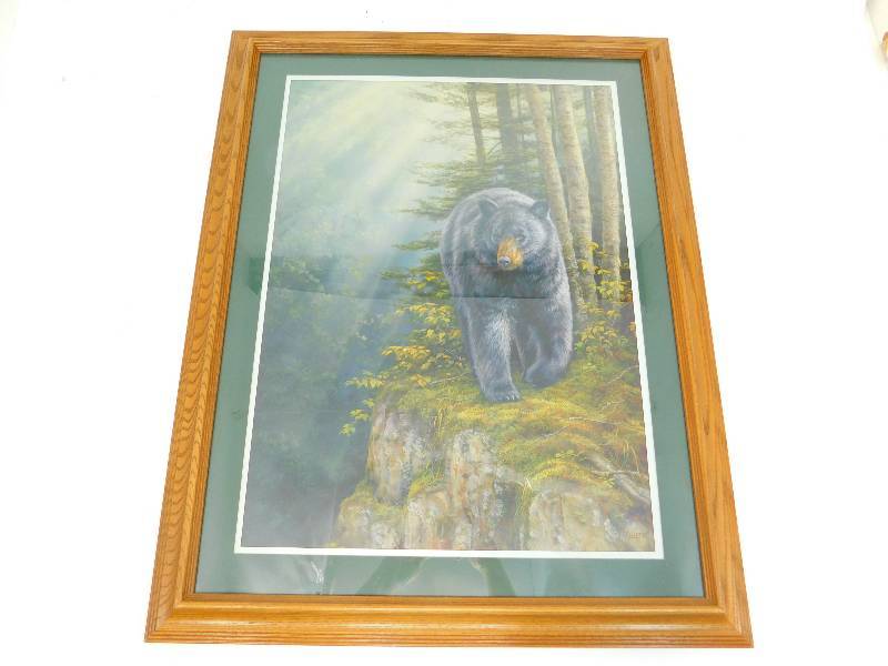 Framed & Matted Picture Of Rocky Outcrop--Black Bear  By Rosemary Millette