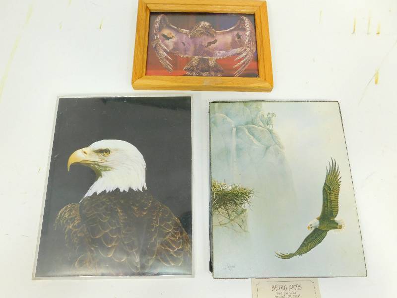 Three Bald Eagle Pictures