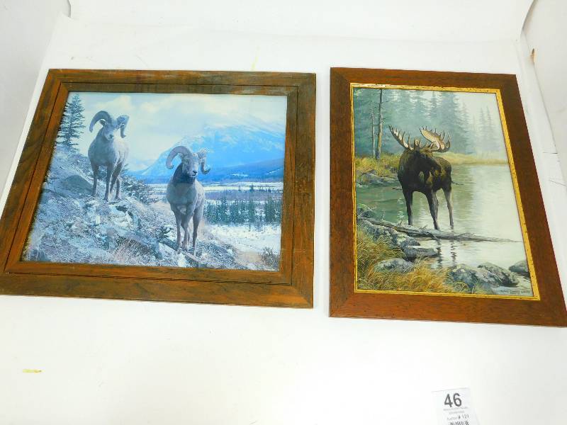 Two Framed Pictures