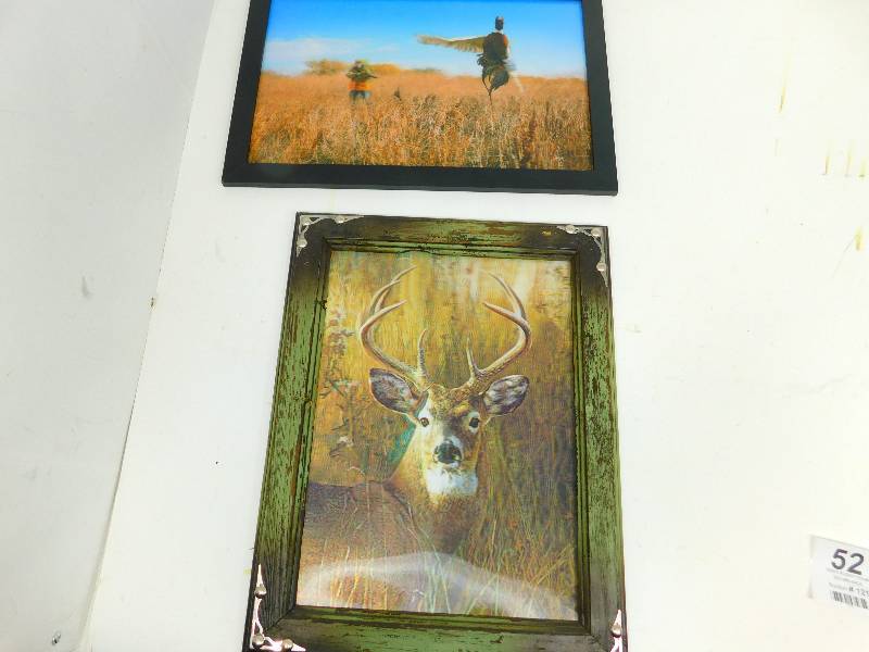 Two  framed Three  D Pictures