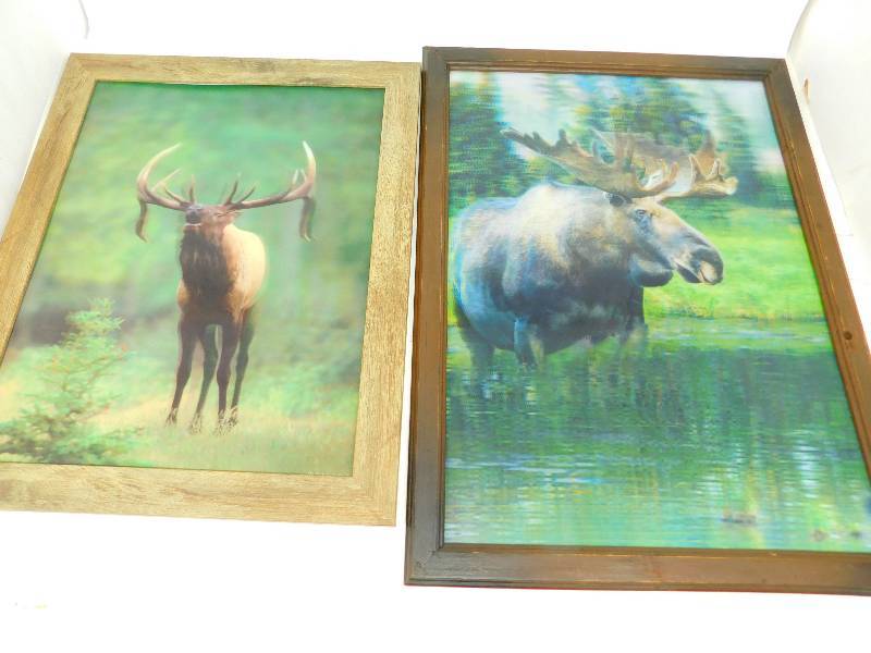 Two Framed Three D Pictures Of Moose
