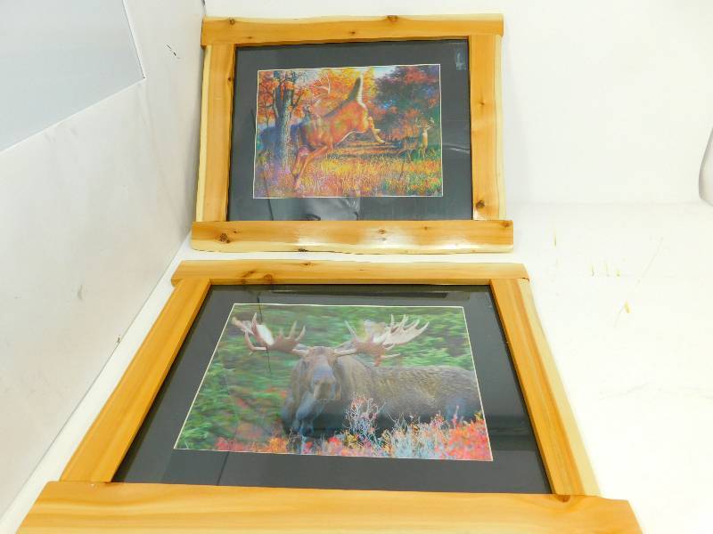 Two  Framed Three D Pictures