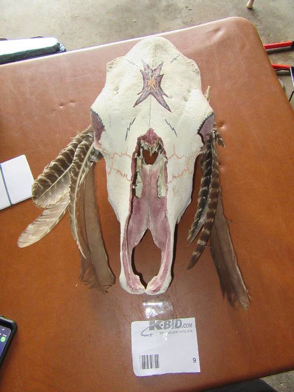 lot 9 image: Decorative Skull with Feathers, Table