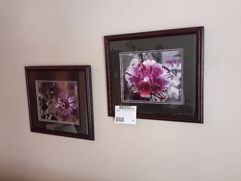 lot 10 image: 2 Decorative Close Up Pictures of Flowers