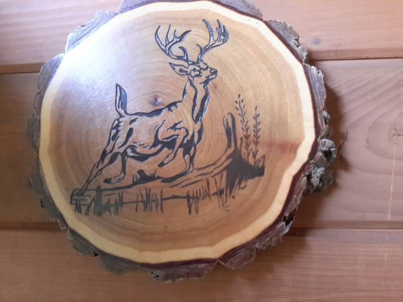 lot 29 image: 5 Decorative Wood Sliced Wall Accents
