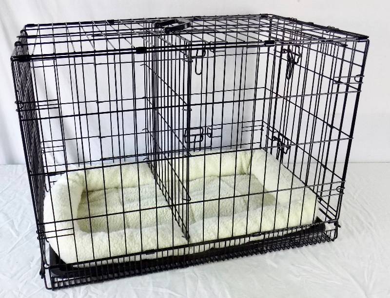 lot 5 image: NEVER USED - 11 Quality Pet Accessories (Except the FurMinator was used a couple of time)