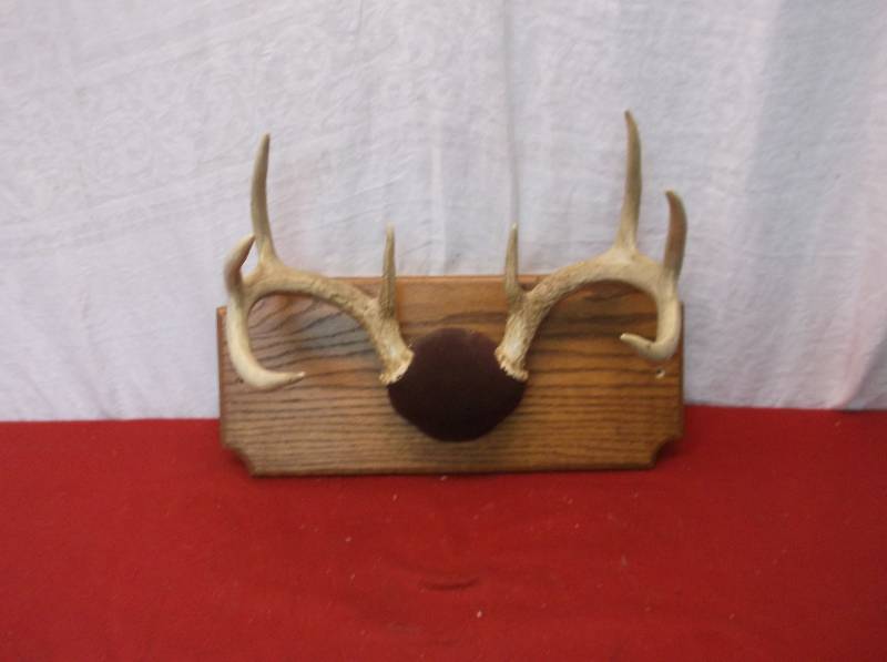 Deer Rack