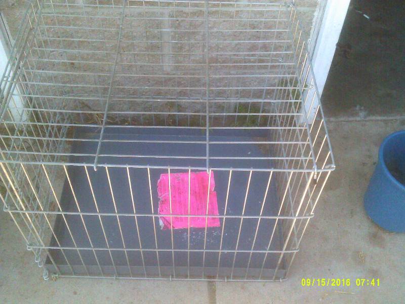METAL PET CARRIER