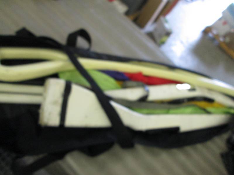 ColorGuard Flags & Guns with Carryi...