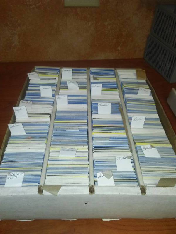 3000 MLB baseball card sorted by teams