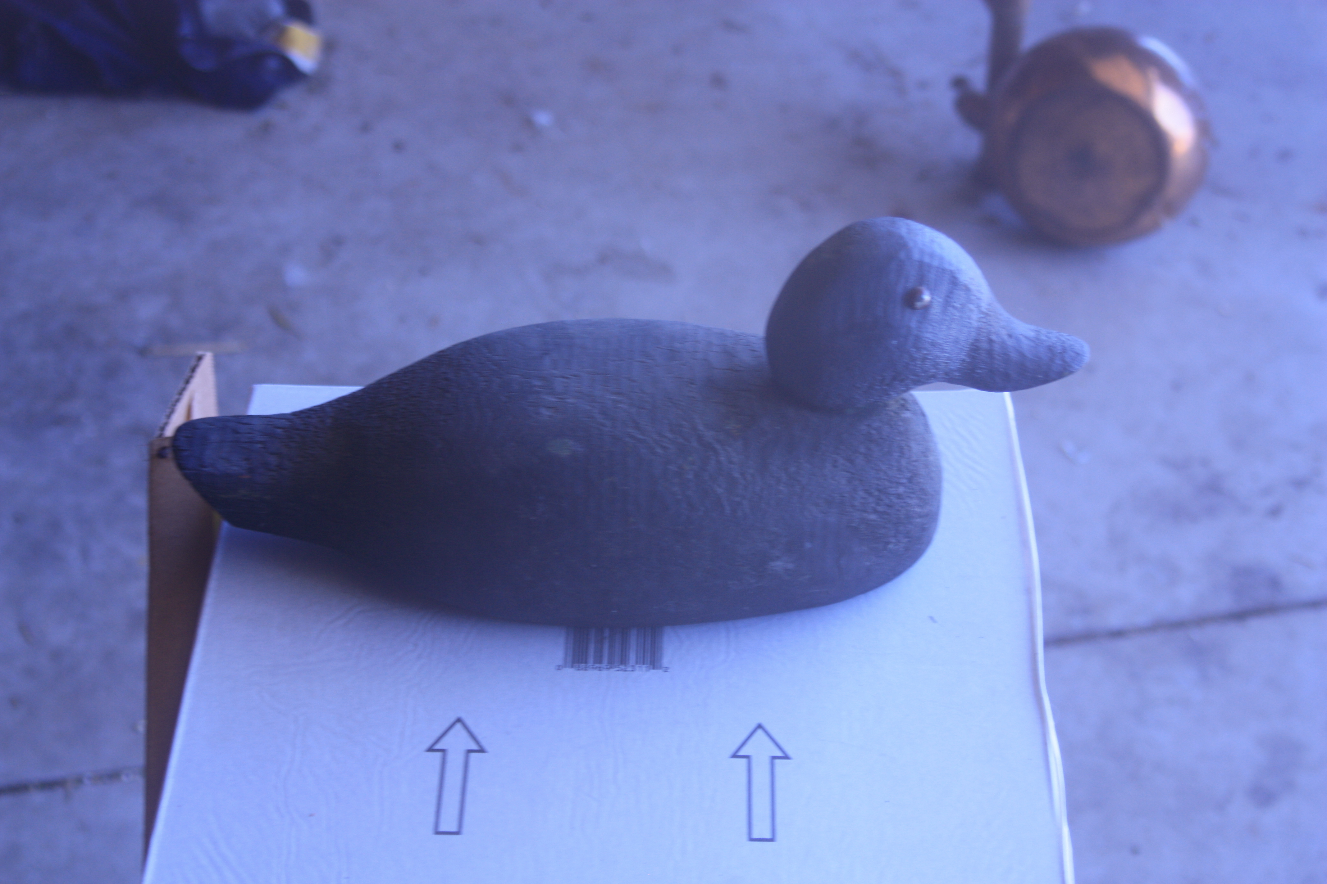 Decoy