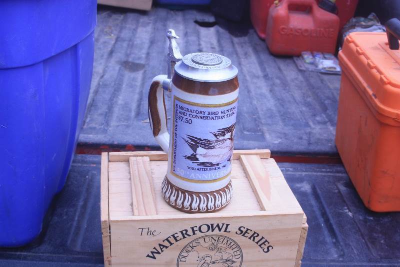 beer Stein