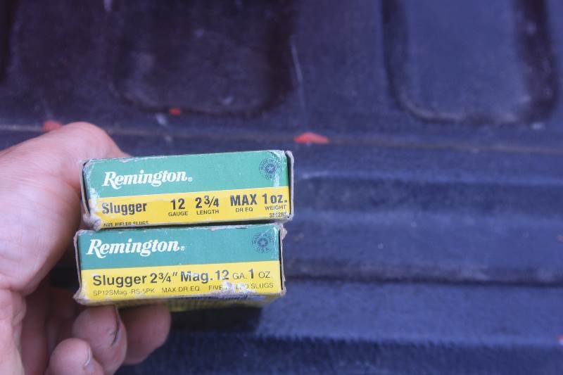 Slugs