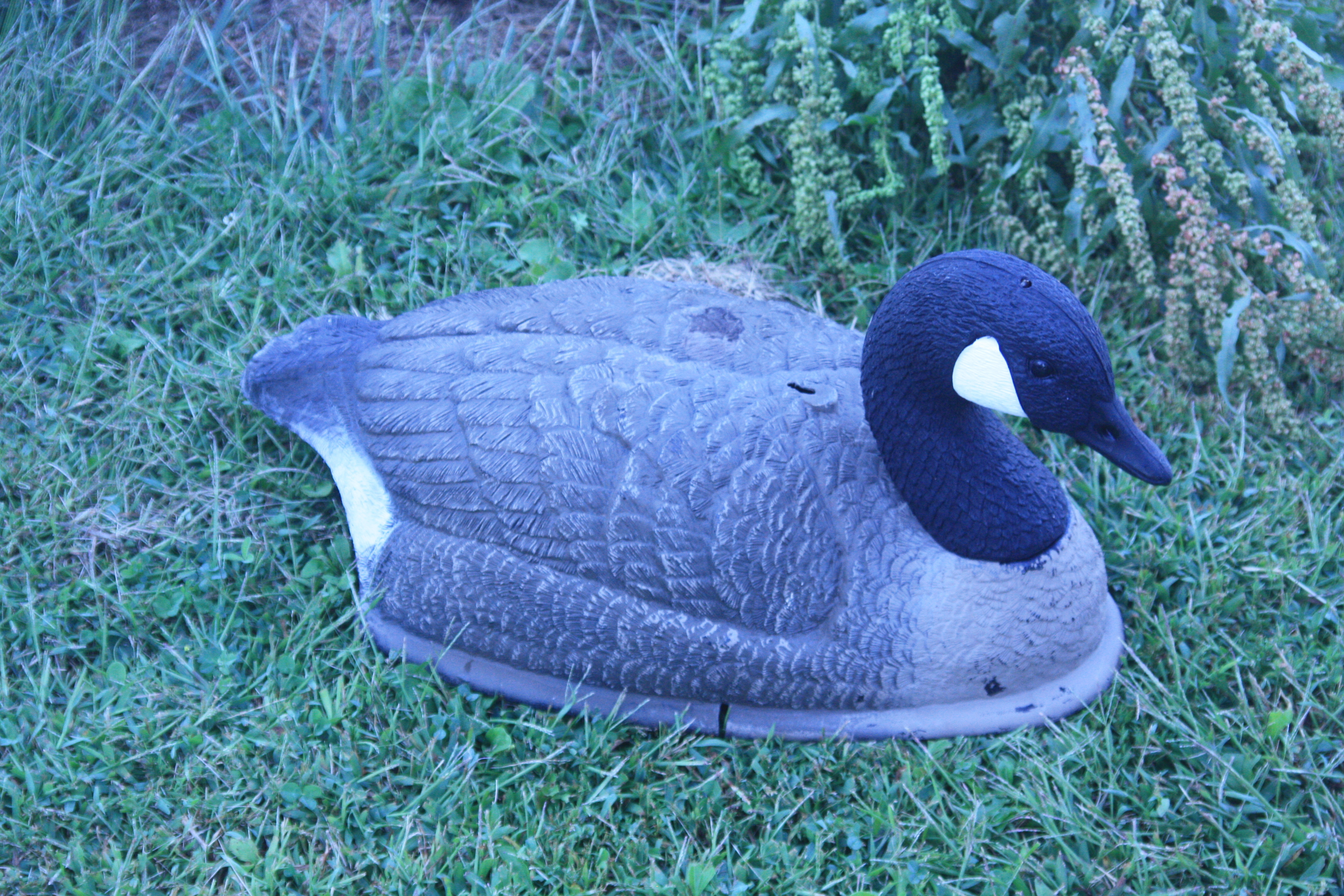 Goose decoy
