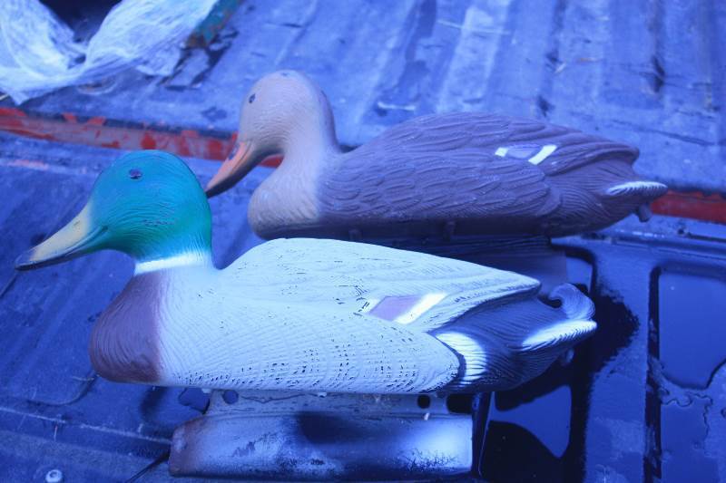 duck decoys