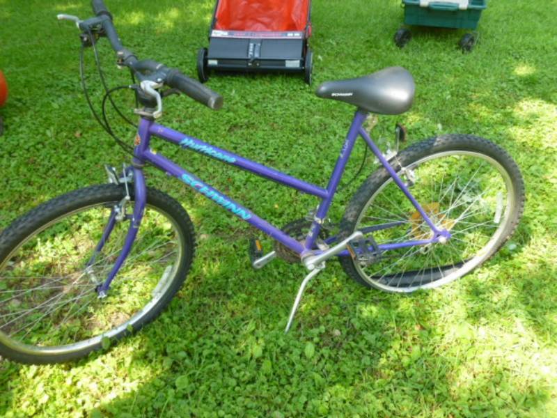 lot 117 image: Bike