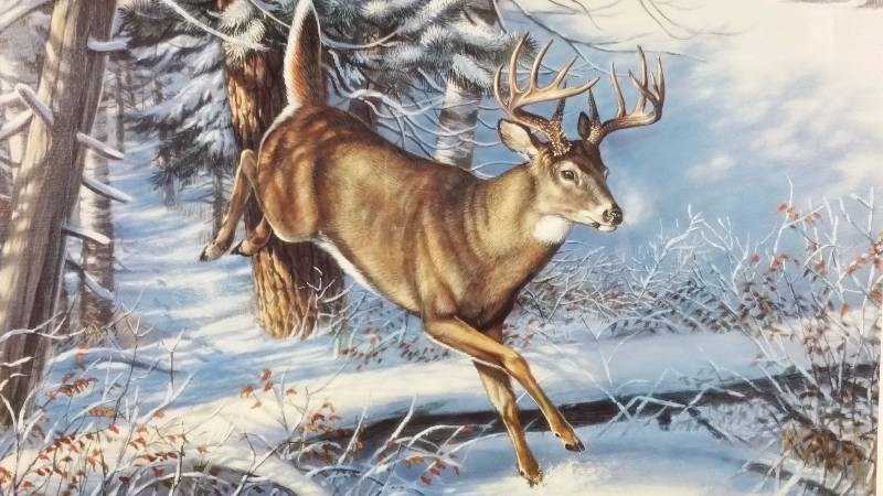 lot 67 image: James Meger & Herb Brooks Signed  Numbered Print Fast Moving Game - Whitetail Deer