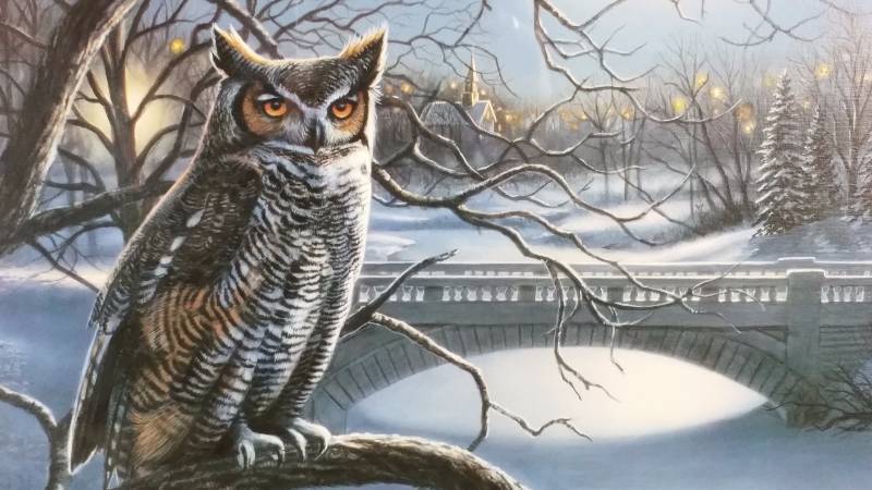 lot 68 image: James Meger & Herb Brooks Signed  Numbered Print Hoot N Holler - Great Horned Owl
