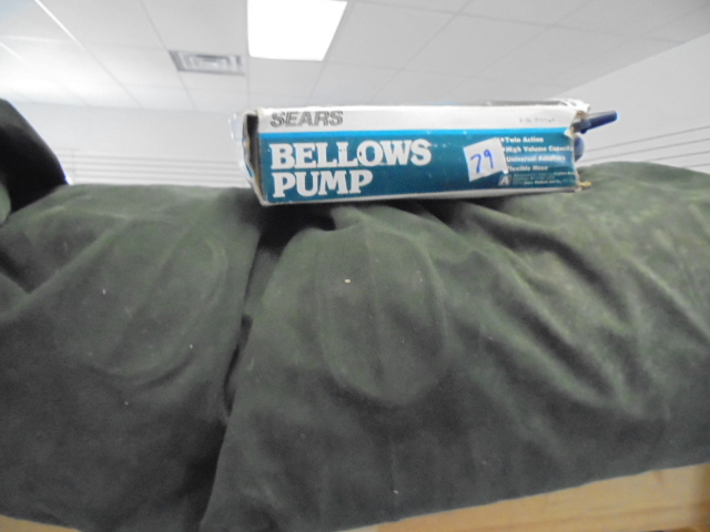lot 79 image: Air Mattress and Pump