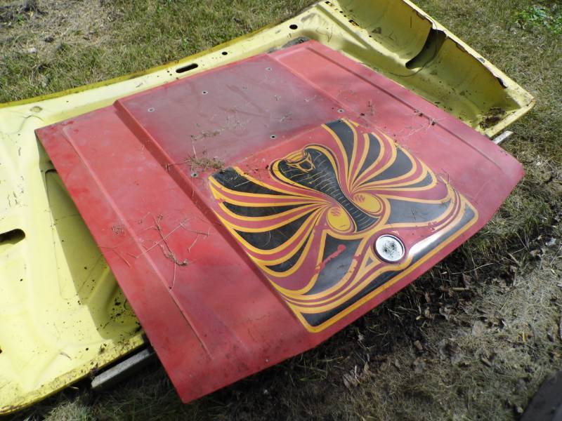 Vehicle Hoods - Door