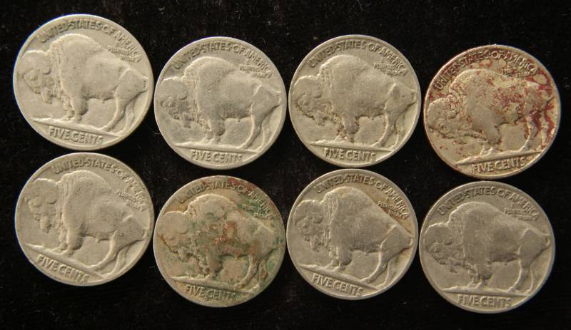 lot 73 image: GROUP OF 8 US BUFFALO NICKELS