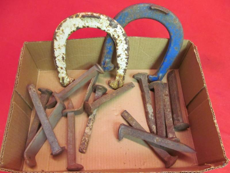 Group of Railroad Spikes and 2 Horse Shoes (Throwing)