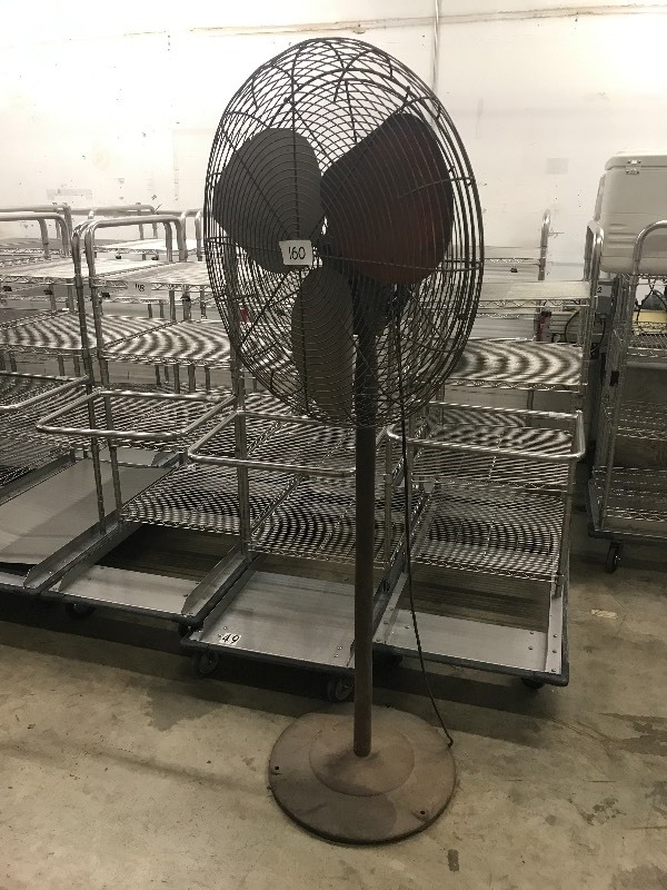 Pedestal fan