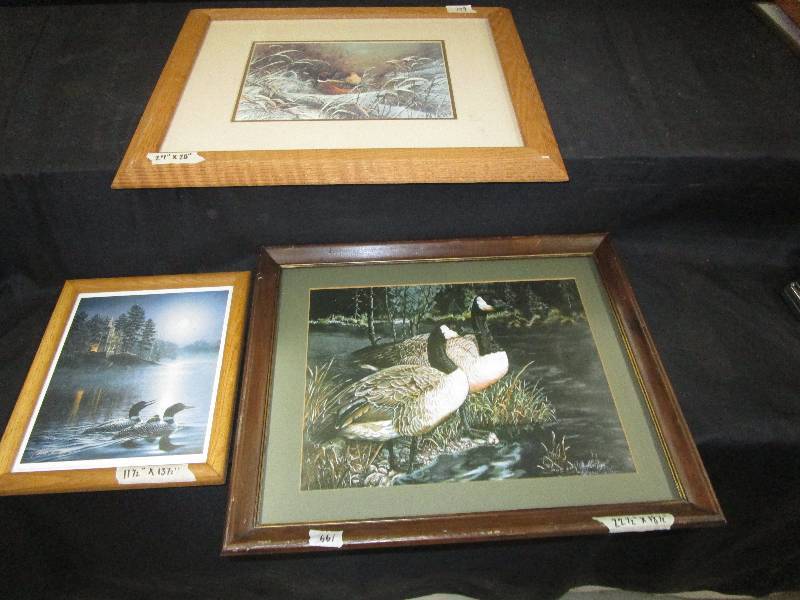 lot 41 image: 3 Outdoor Pictures