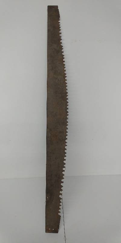 lot 12 image: Antique Tree Saw, 66 long