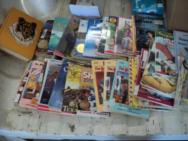 DVDs, books, toys and small purse...