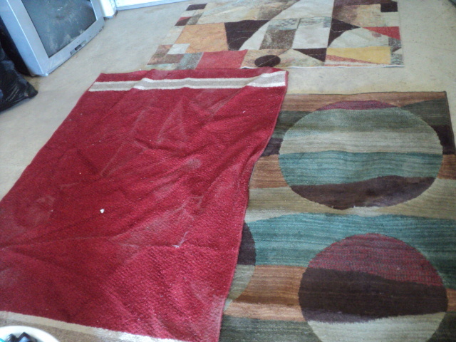 3 rugs - need cleaning...