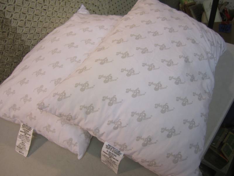 lot 127 image: 2 My Pillow Pilows Regular Size  F-...