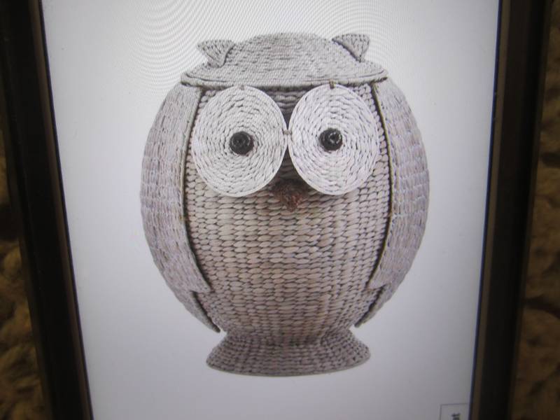 lot 196 image: Home Decorators Collection Owl Hamp...