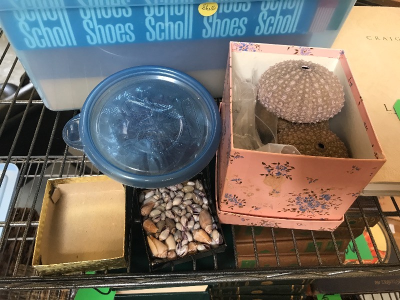 lot 168 image: LAKE SUPERIOR COFFEE TABLE BOOK & ASSORTED SEAL SHELL ITEMS