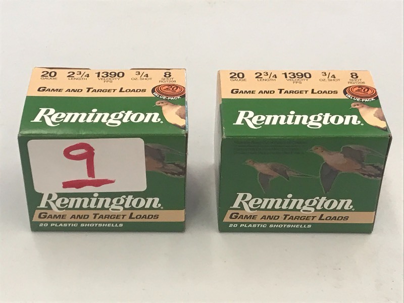 (40) Rounds Remington Game & Target...