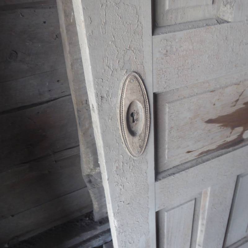 lot 32 image: Antique Hard Pine Door