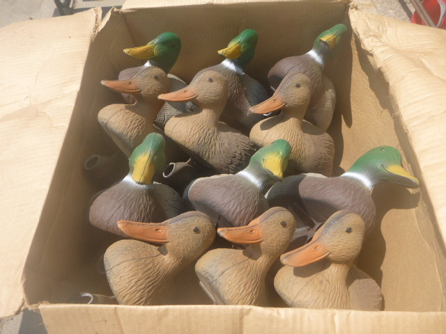 lot 143 image: 12 Duck Decoys