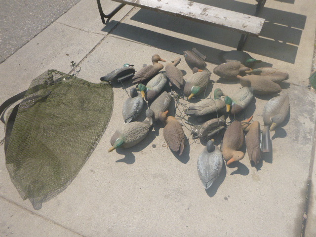 lot 144 image: 21 Duck Decoys