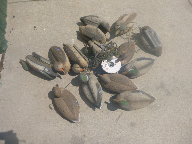 lot 145 image: 14 Duck Decoys