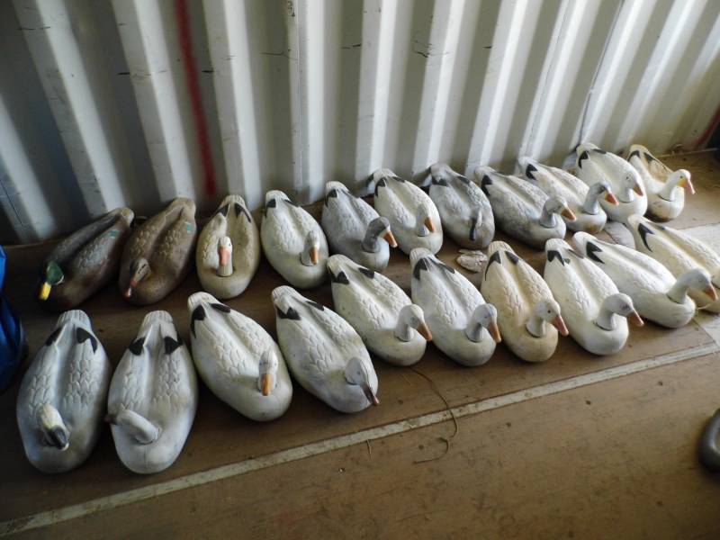 lot 62 image: Lot of 21 Rubber Decoys