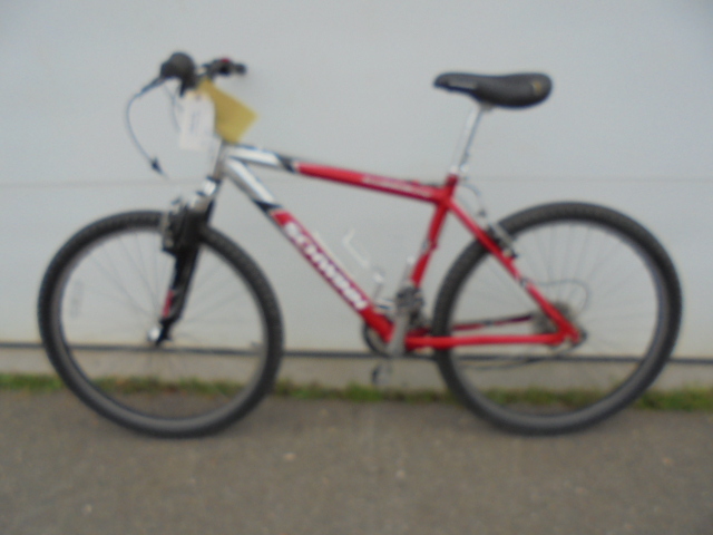 Schwinn Bicycle